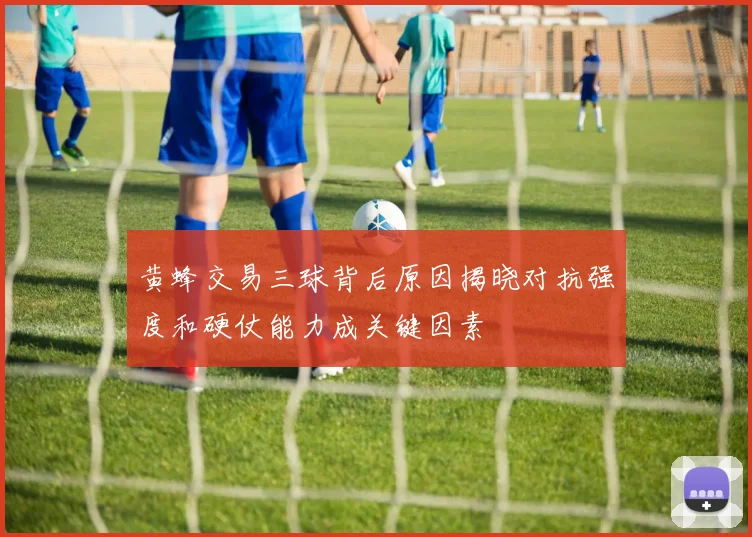黄蜂交易三球背后原因揭晓对抗强度和硬仗能力成关键因素