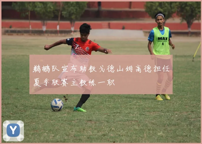 鹈鹕队宣布助教戈德山姆高德担任夏季联赛主教练一职